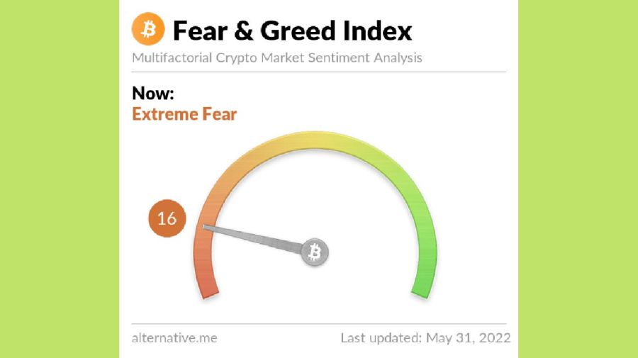índice Fear & Greed Bitcoin. 20220531