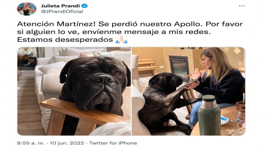 Julieta Prandi perro extraviado