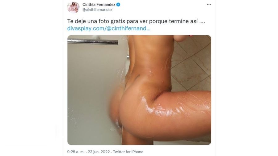 Cinthia Fernandez desnudo