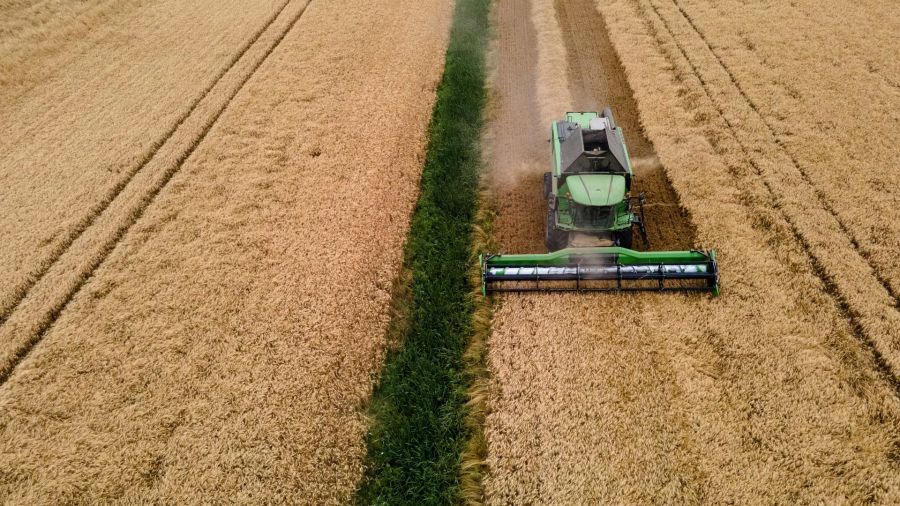 Fotogaleria Esta fotografía aérea muestra a un agricultor conduciendo una cosechadora en un campo de trigo en Sainte Foy d'Aigrefeuille, cerca de Toulouse, suroeste de Francia
