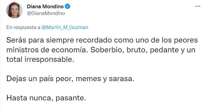 El mensaje de Diana Mondino sobre la renuncia de Martín Guzmán.