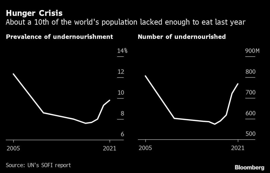 Hunger Crisis | About a 10th of the world's population lacked enough to eat last year