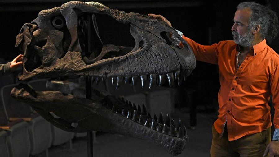 Dinosaurio descubierto en Argentina 20220707