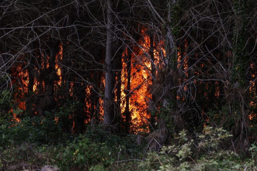 Incendios forestales causados por el calor en Francia