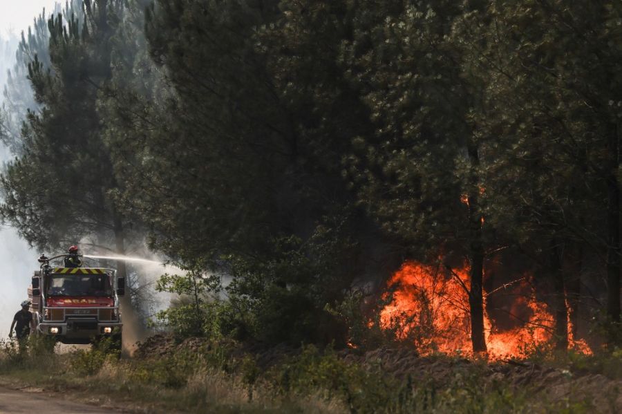 Incendies de forêt causés par la chaleur en France