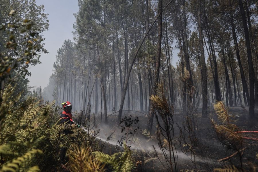 Incendies de forêt causés par la chaleur en France