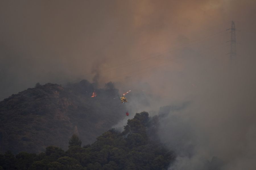 Incendios forestales causados por el calor en Francia