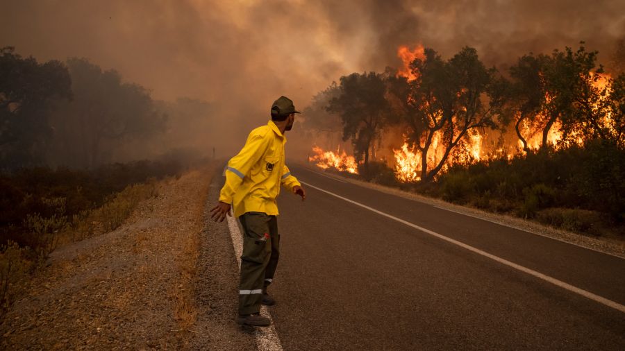 Fotogaleria Un guardabosques observa un incendio forestal salvaje cerca de la ciudad marroquí de Ksar el-Kebir, en la región de Larache