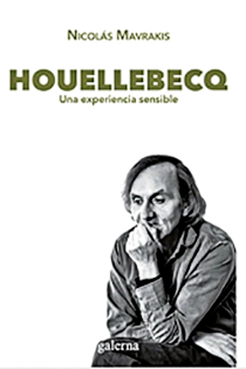 Houellebecq. Una experiencia sensible