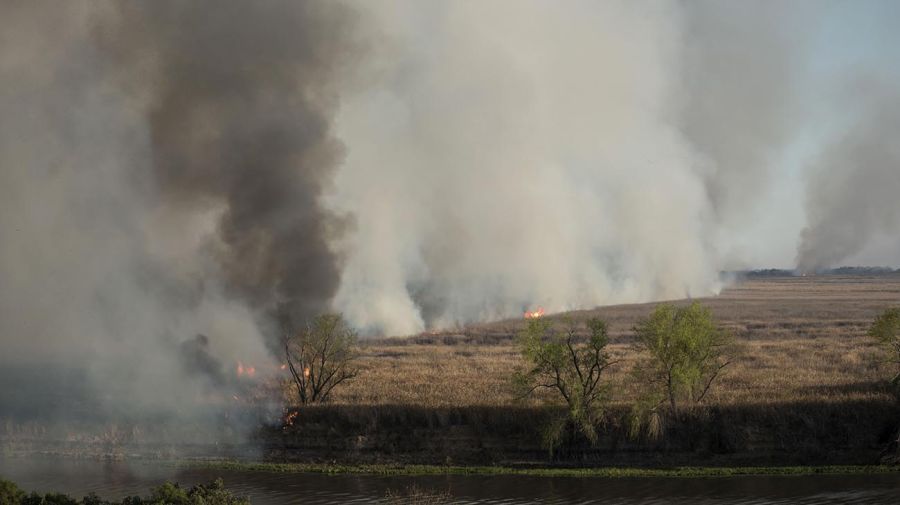 Incendios en el Delta del Paraná 20220816