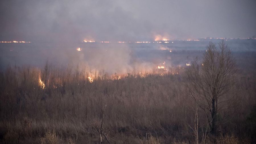 Incendios en el Delta del Paraná 20220816
