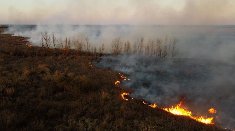 Incendios en el Delta del Paraná 20220816