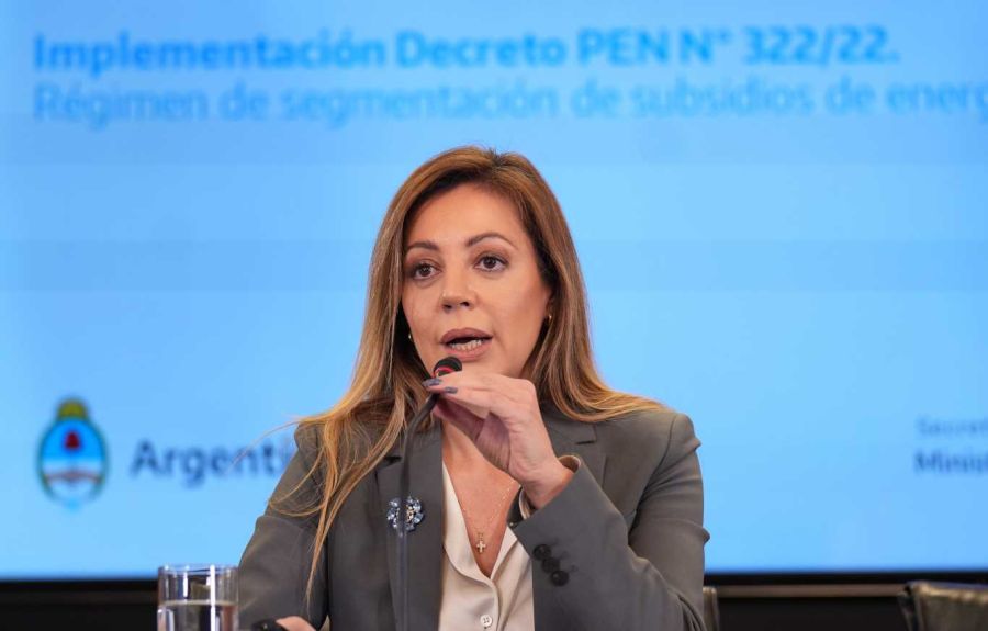 La secretaria de Energía, Flavia Royón