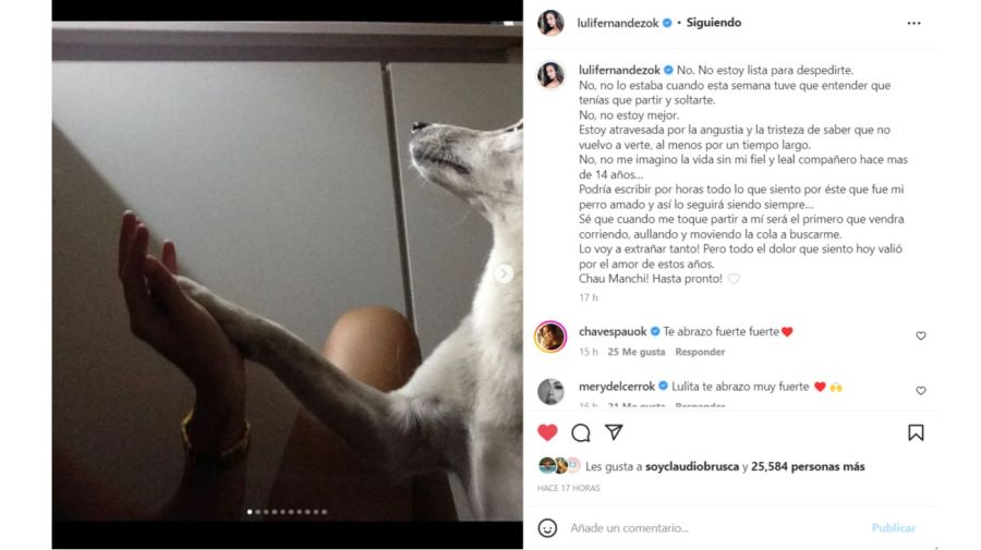 Muerte perro de Luli Fernández