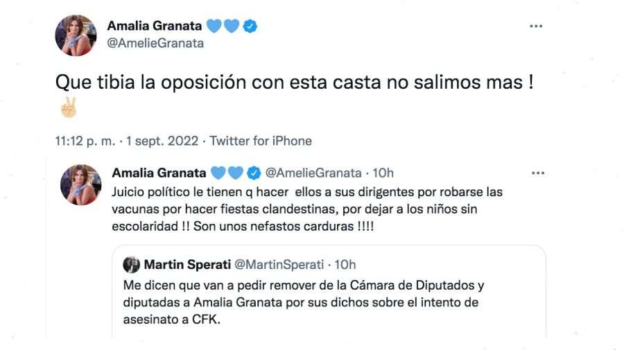 Jorge Rial contra Granata y los dichos de Amalia Granata sobre el atentado de Cristina Fernández de Kirchner