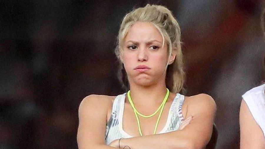 Shakira quedó atrapada en un hecho policial: golpes, miedo y un detenido