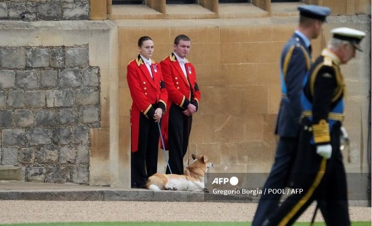 Las mascotas de la reina Isabel II presentes en su funeral