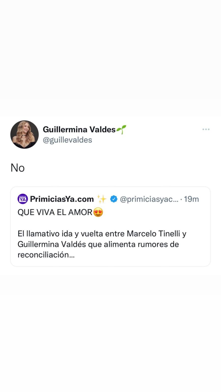 Así fue la reacción de Guillermina Valdés a los rumores de reconciliación con Marcelo Tinelli