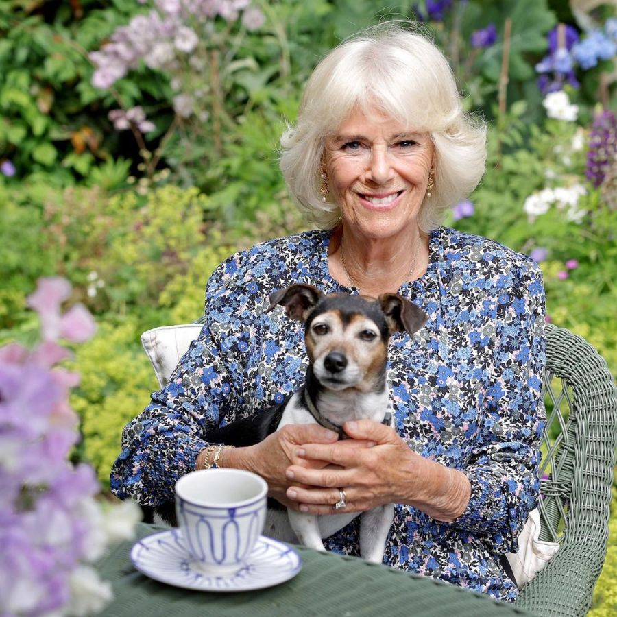 Camilla Parker Bowles se animó a un radical cambio de look 