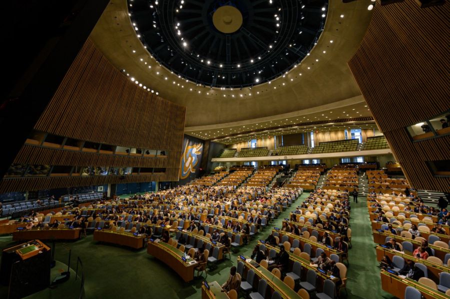 Asamblea General ONU