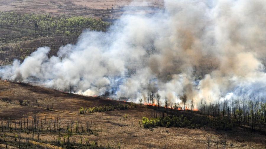 Incendios en el Delta 20221013