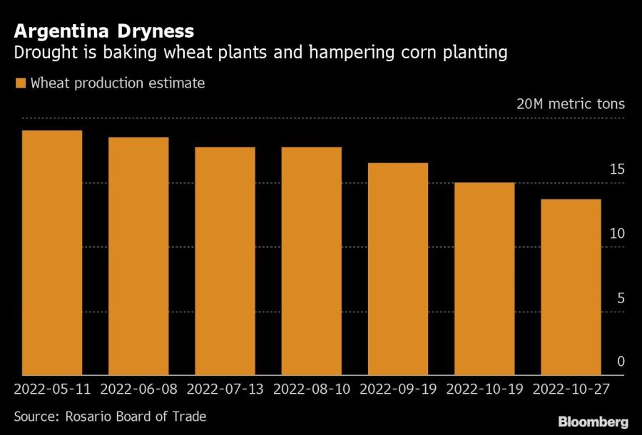Argentina Dryness | Drought is baking wheat plants and hampering corn planting