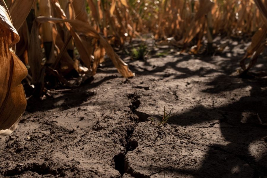 Heatwave And Drought Threaten Argentine Crops 