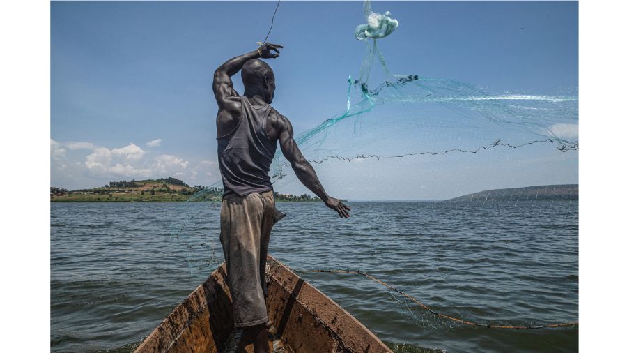 Fotogaleria Esta fotografía muestra a Jowali Kitagenda, de 40 años, echando la red para pescar en el río Nilo en Jinja, al sur de Uganda