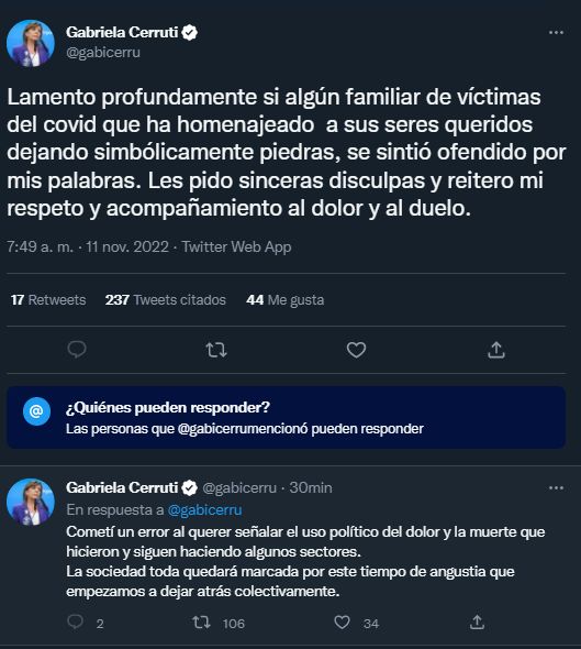 El pedido de disculpas de Gabriela Cerruti 20221111