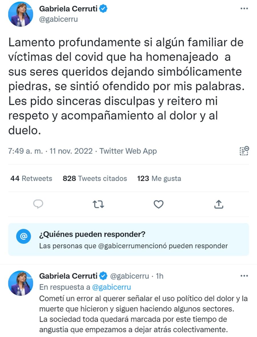 El pedido de disculpas de Gabriela Cerruti 20221111