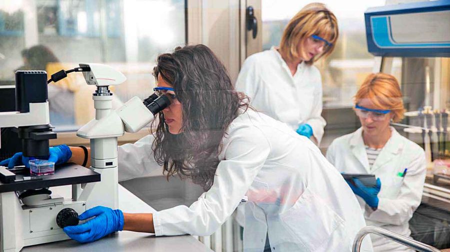  20221113_ciencia_mujeres_genero_shutterstock_g