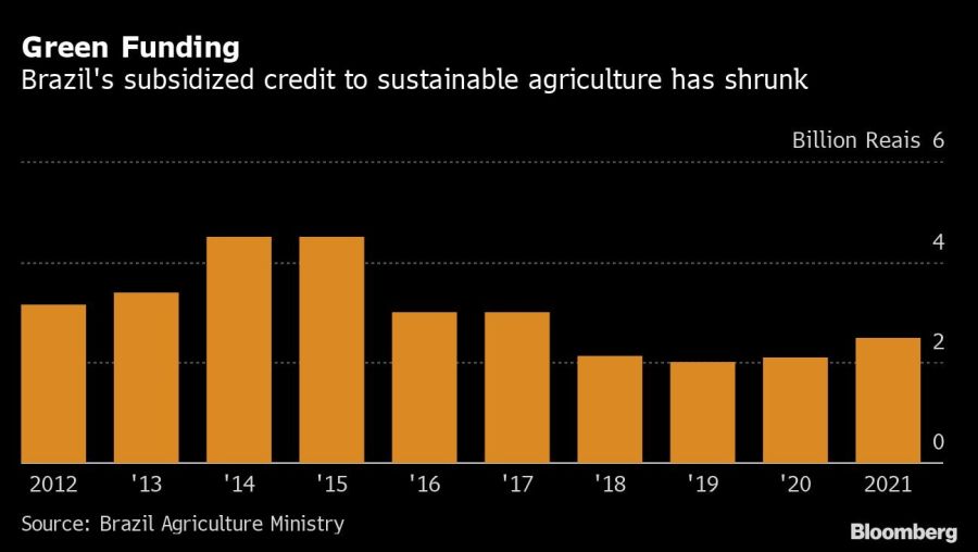 Green Funding | Brazil's subsidized credit to sustainable agriculture has shrunk
