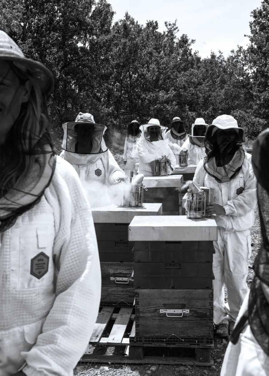 Opening abejas Guerlain