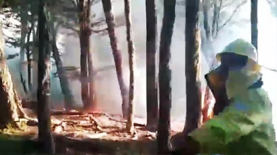 Incendio forestal en la Reserva Provincial Corazón de la Isla 20221202