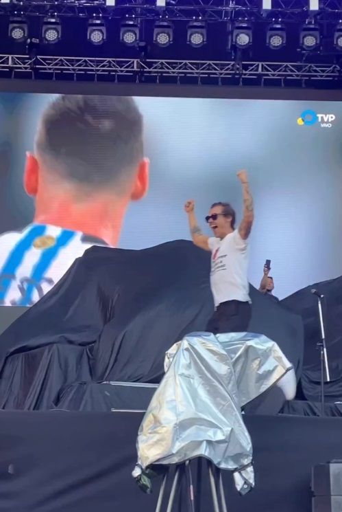 El británico Harry Styles celebró el triunfo de Argentina ante Australia