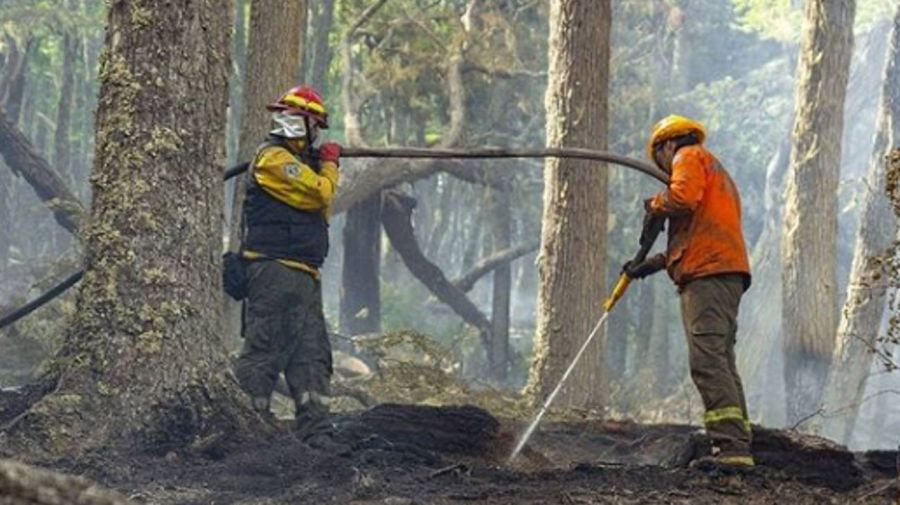 Incendios en Tierra del Fuego 20221206