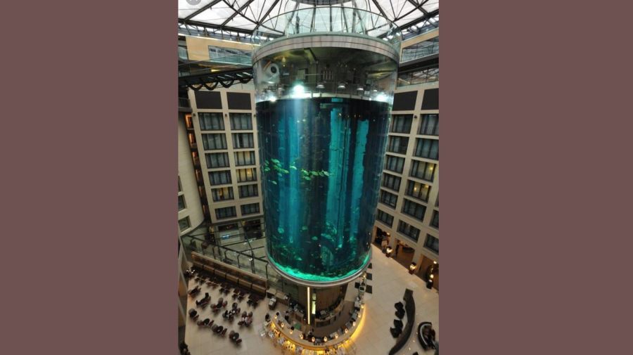 World'S Largest Cylindrical Aquarium Explodes 