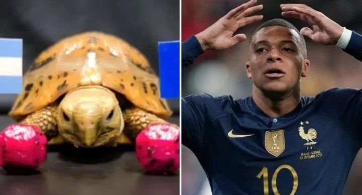 Argentina campeón del mundo: los mejores memes del triunfo ante Francia en Qatar 