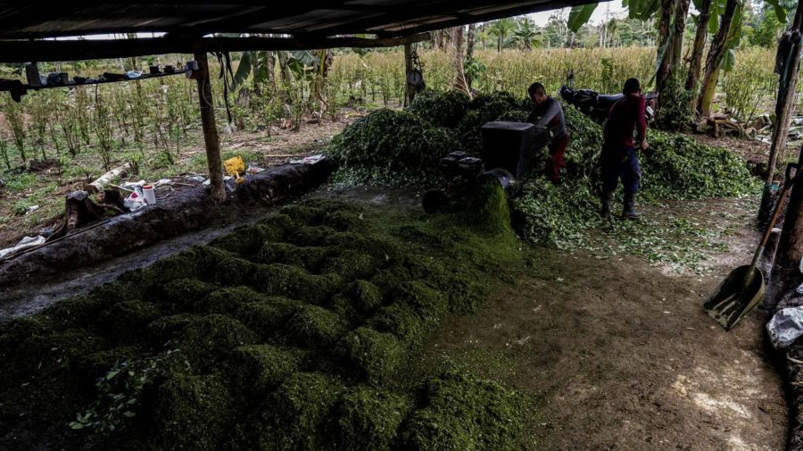 coca paste in Putumayo