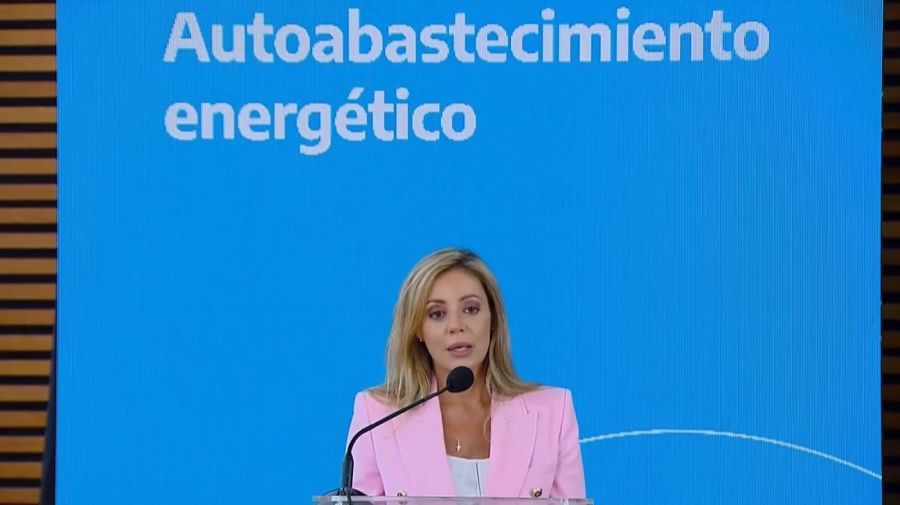 Secretaria de Energía, Flavia Royón
