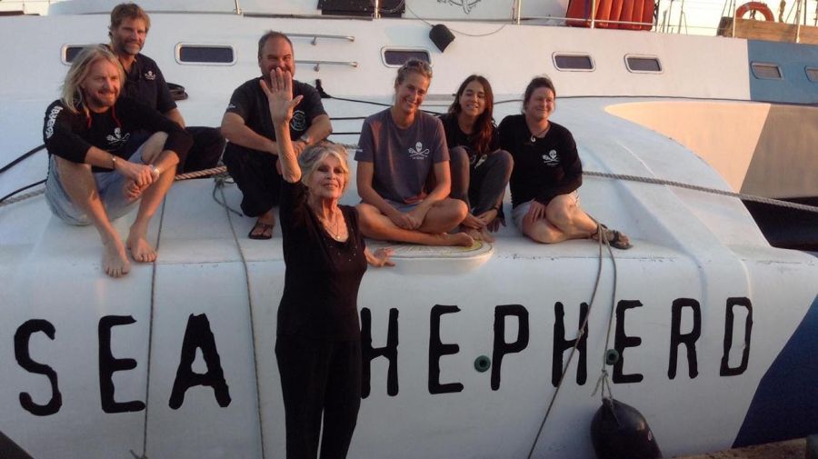 Brigitte Bardot 20221228