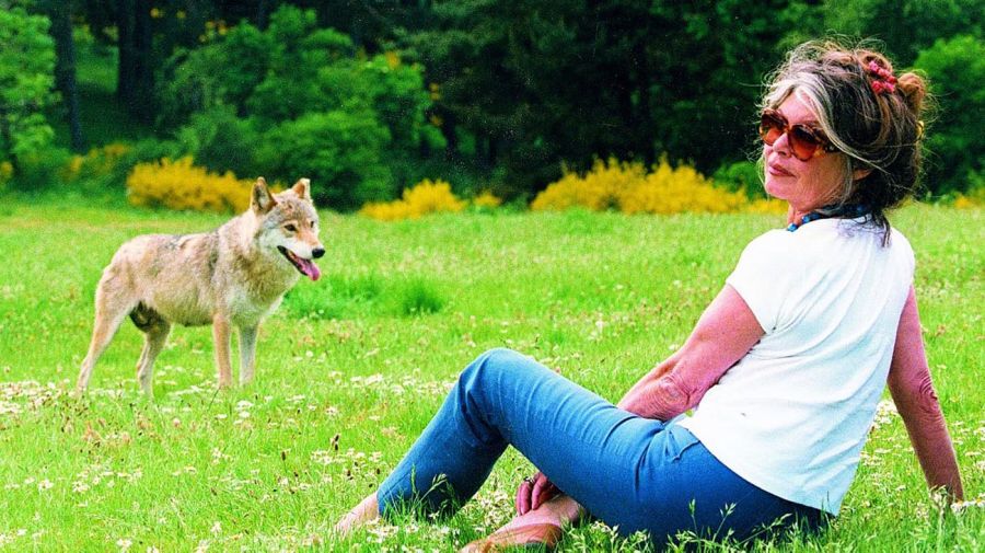 Brigitte Bardot 20221228