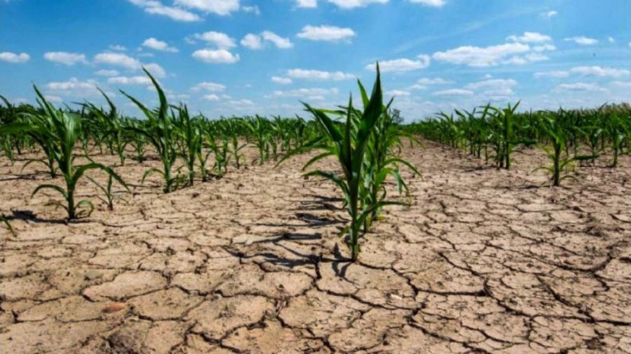 Sequía en Santa Fe