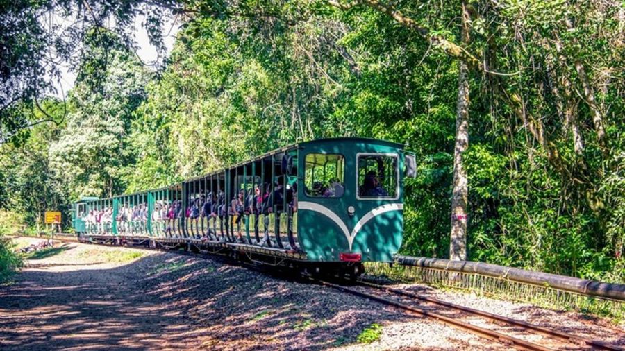 Tren de la Selva