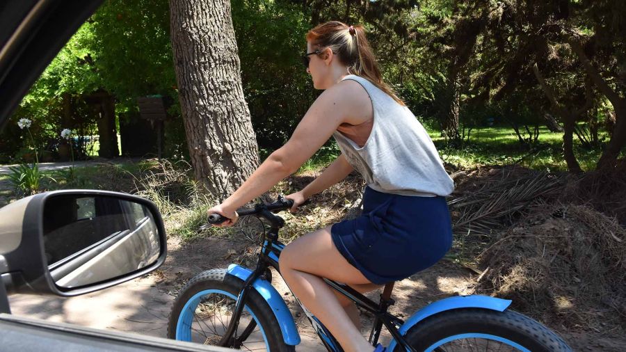 Bicicletas de ruedas gordas - febrero de 2024