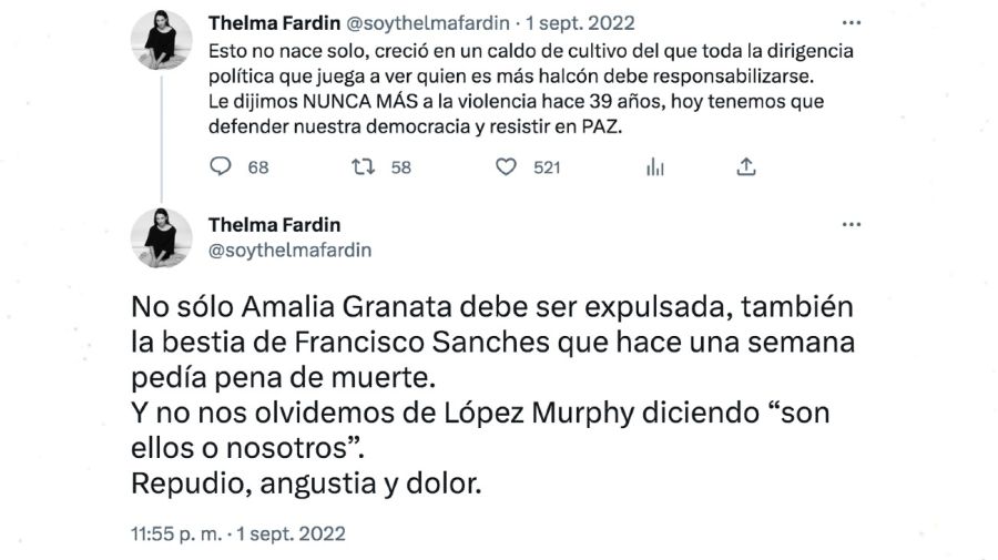 Thelma Fardín contra Amalia Granata