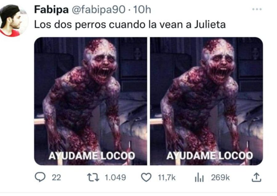 Gran Hermano los mejores memes de Julieta tras el ingreso de los perros a la casa