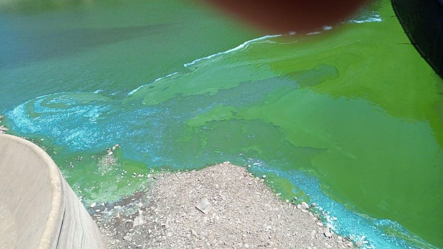 Contaminación Lago San Roque