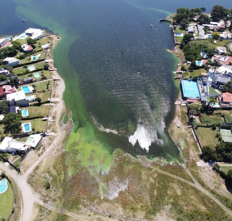 Contaminación Lago San Roque