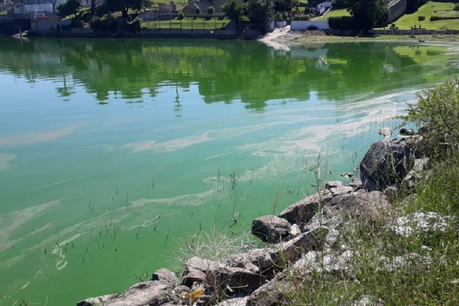 Contaminación Lago San Roque